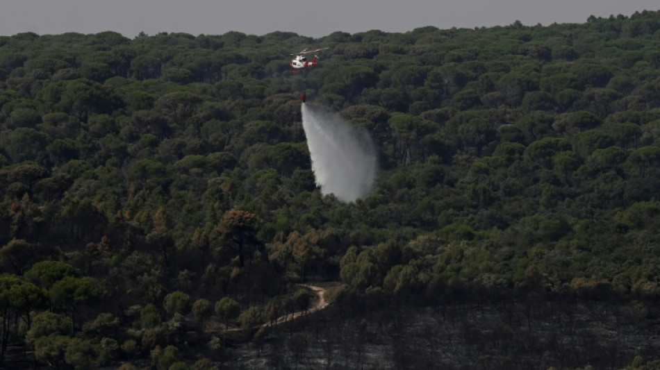 Incendies en Espagne: des milliers de personnes ont regagn&eacute; leur domicile pr&egrave;s de Madrid