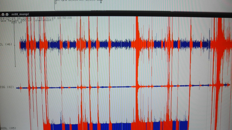 Terremoto di magnitudo 6.7 in Giappone, allerta tsunami