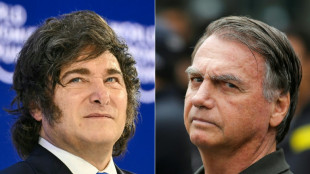 La corte suprema de Brasil proh&iacute;be la visita de Milei a Bolsonaro en prisi&oacute;n domiciliaria
