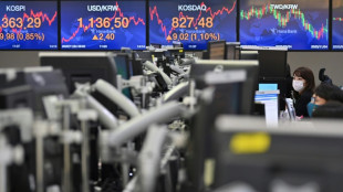 Asian markets rally after Wall Street highs