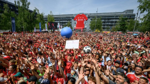 Suisse: des centaines de supporteurs c&eacute;l&egrave;brent la "Nati" &agrave; son retour du Mondial