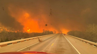 Dezenas de inc&ecirc;ndios florestais devastam parte do Texas