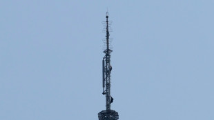 Arrestan a una pareja que escal&oacute; el Empire State Building para una propuesta de matrimonio
