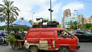 UN Security Council to meet on Lebanon war as Israeli forces push into south