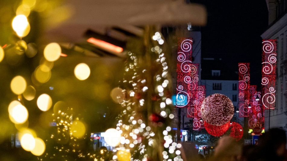 BGH urteilt &uuml;ber sonnt&auml;glichen Verkauf von Weihnachtsdeko im Gartenmarkt