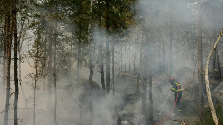 Dans la for&ecirc;t de Fontainebleau, les feux ont parcouru un peu plus de 2.000 hectares