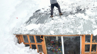 Border crossings shut as heavy snow coats Argentine Andes