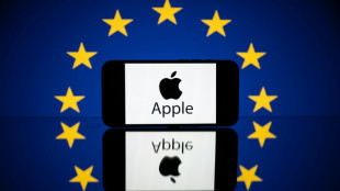 Apple perd des recours contre l'application d'une loi embl&eacute;matique de l'UE