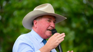 'Sit down!' Australian politician berates dog on live TV