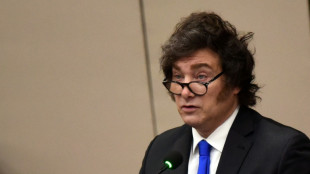 Milei atribui tempestade nos mercados financeiros a 'p&acirc;nico pol&iacute;tico' na Argentina