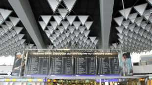 Mutma&szlig;licher IS-R&uuml;ckkehrer am Flughafen Frankfurt festgenommen