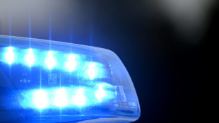 49-J&auml;hrige stirbt bei Reitunfall in Niedersachsen