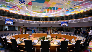 EU-Gipfel verzichtet auf Aussetzung des EU-Israel-Abkommens