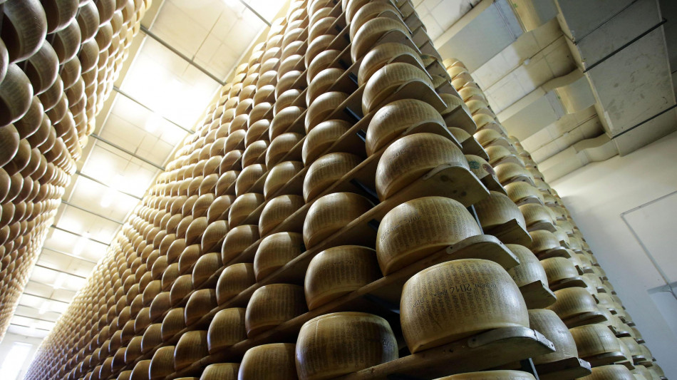 Caldo, la produzione di latte per il Parmigiano gi&ugrave; del 10%