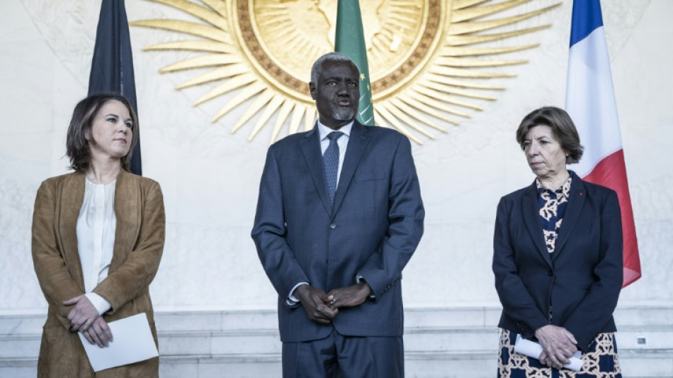 Deutschland und Frankreich rufen Afrika zur Verurteilung von Russlands Angriffskrieg auf