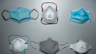 Hantavirus: en cas d'&eacute;pid&eacute;mie, le stock de masques en France est suffisant pendant "minimum trois mois", selon Matignon