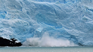 Un atlas de glaciares del mundo documenta su deshielo