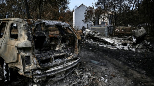 Controlan el incendio que arras&oacute; el sureste de Francia durante 18 d&iacute;as