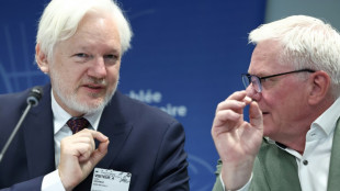 Wikileaks-Gr&uuml;nder Assange fordert besseren Schutz f&uuml;r Journalisten
