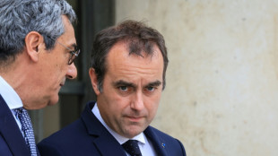 Moyen-Orient: soutenir l'activit&eacute; sans plomber le budget, le dilemme de Lecornu