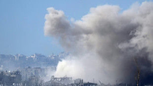 Combats dans le nord de Gaza, pourparlers pour la lib&eacute;ration d'otages 