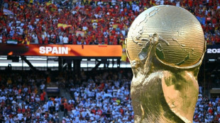 Ceferin skipped World Cup final reportedly to show disapproval of FIFA
