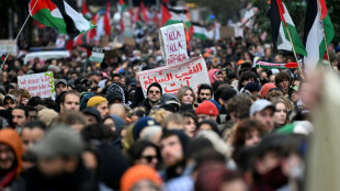 40 Festnahmen bei propal&auml;stinensischen Demonstrationen in Berlin