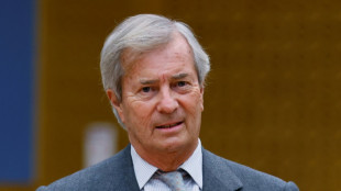 Bollor&eacute; avant Hanouna: deux auditions br&ucirc;lantes pour la commission d'enqu&ecirc;te parlementaire