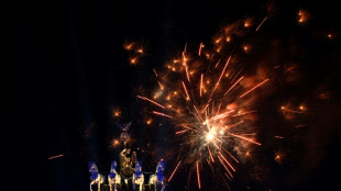 Weitere Details zu Verd&auml;chtigen von Berliner Silvesterkrawallen ver&ouml;ffentlicht