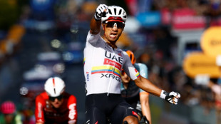 Tour d'Italie: Narvaez console UAE, Ciccone enchante l'Italie
