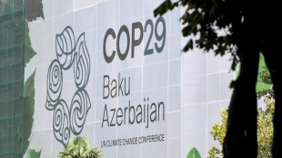 Los ejecutivos petroleros se dan cita en la COP29, atestada de lobistas según las oenegés