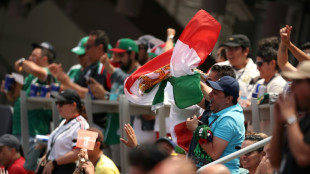 "Nuestro segundo equipo": los mexicanos apoyan a la selecci&oacute;n iran&iacute;