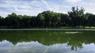 Trump threatens prison for damage to Washington Reflecting Pool