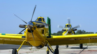 Incendios forestales amenazan tur&iacute;stica costa catalana y obligan a Portugal a pedir ayuda
