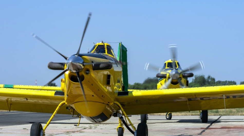 M&aacute;s de 1.000 bomberos combaten un incendio forestal en Portugal