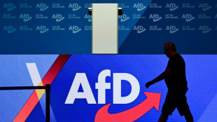 Mehr als tausend Juristen fordern AfD-Verbotsverfahren