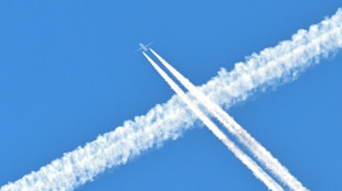 BGH: Airline muss bei Annullierung auch Ersatzfl&uuml;ge anderer Unternehmen anbieten