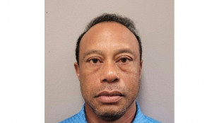 Prosecutors granted access to Woods's prescription records in DUI crash case