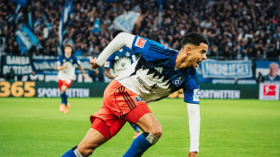 Vieira trifft spät: HSV ringt Stuttgart nieder