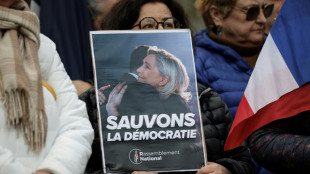 Le Pen invokes Martin Luther King ahead of far-right Paris rally