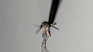 Sri Lanka troops to battle deadly dengue mosquitoes as cases rise