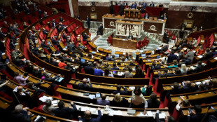 Le Parlement va adopter l'allongement de la dur&eacute;e de l'IVG
