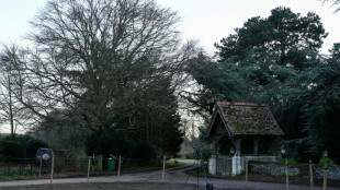 Detienen a un hombre con un arma cerca del domicilio del expr&iacute;ncipe Andr&eacute;s en Inglaterra
