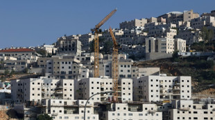 IGH soll Israels Besetzung pal&auml;stinensischer Gebiete pr&uuml;fen