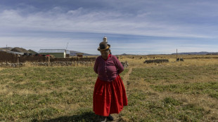 Pr&eacute;sidentielle au P&eacute;rou : dans l'Altiplano, le vote de la d&eacute;sillusion