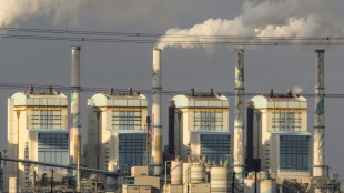 The world built more coal power in 2025, but used less
