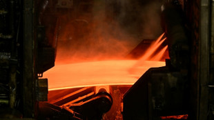 Deutsche Industrie &auml;u&szlig;ert vorsichtige Zustimmung zu EU-Stahlz&ouml;llen