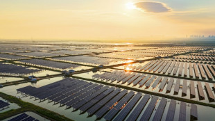 Australia greenlights&nbsp;world's 'largest' solar hub