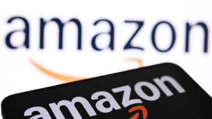 Amazon pledges additional $13 bn in India AI investment