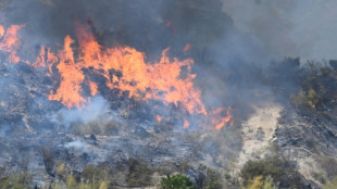 Le sinistre qui a fait 12 morts en Espagne &eacute;volue favorablement